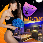 royal6