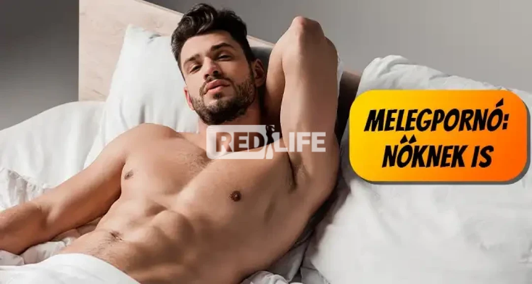 Meleg férfiaknak szóló pornós munka,