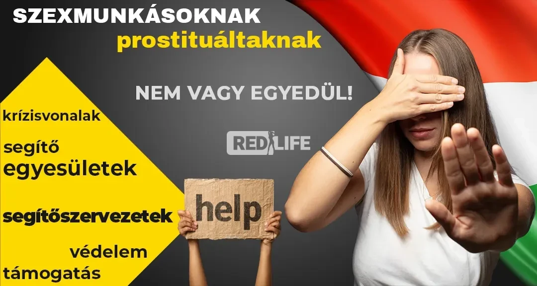 Biztonsági háló, krízisvonalak, segítőszervezetek, egyesületek